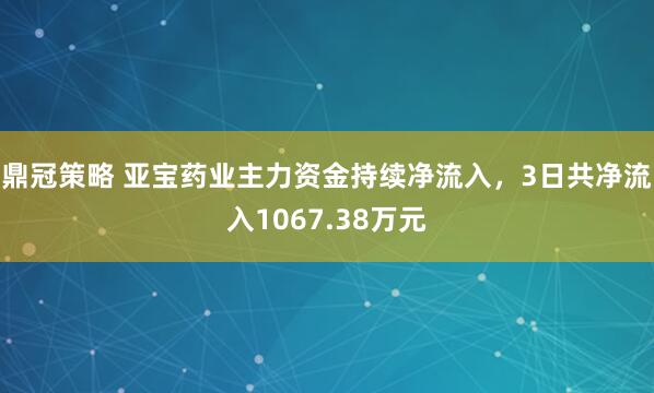 鼎冠策略 亚宝药业主力资金持续净流入，3日共净流入1067.38万元