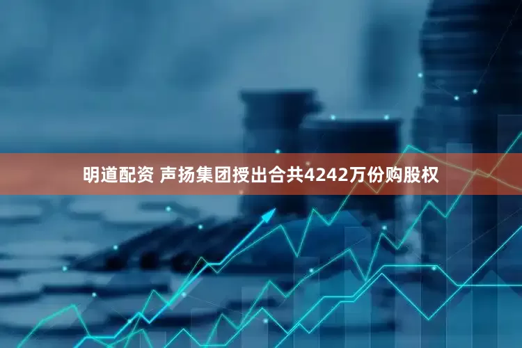 明道配资 声扬集团授出合共4242万份购股权